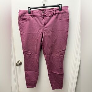 Torrid Women's Berry Skinny Jeans